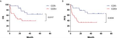 Molecular subtyping of CD5+ diffuse large B-cell lymphoma based on DNA-targeted sequencing and Lymph2Cx